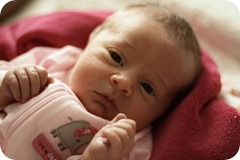 IMG_5606c IMG_5606c