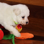 IMG_6726.jpg