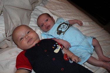 IMG_3366 IMG_3366