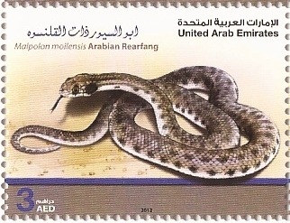 [ArabianRearfang4.jpg]