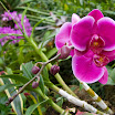 XTI_0703.jpg