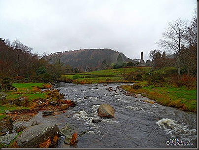 SAM_1772 SAM_1772