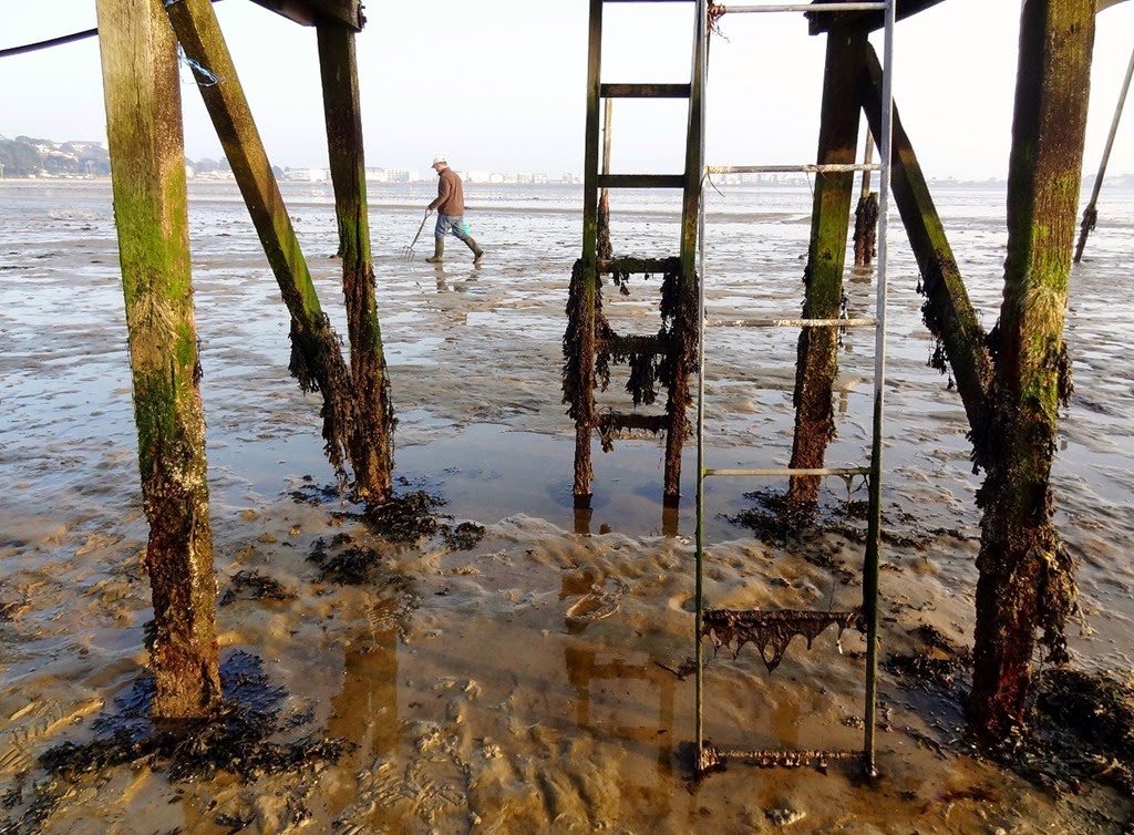 [DSC01823%2520%25281300x957%2529%255B6%255D.jpg]