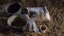100_2812.JPG