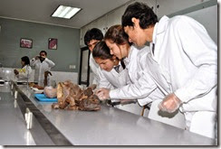 UNIVERSIDAD-DE-TALCA-2011-explora-laboratorio-anatomia-09