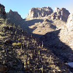 0101111603a.jpg