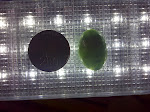 IMG-20111113-01719.jpg