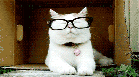 [tumblr_lufcfcUUoC1qzozj1%255B5%255D.gif]