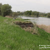 1dsc07640.jpg