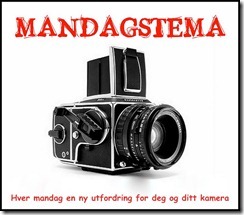 Mandagstema ny logo