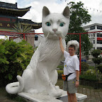Kuching means "cat"