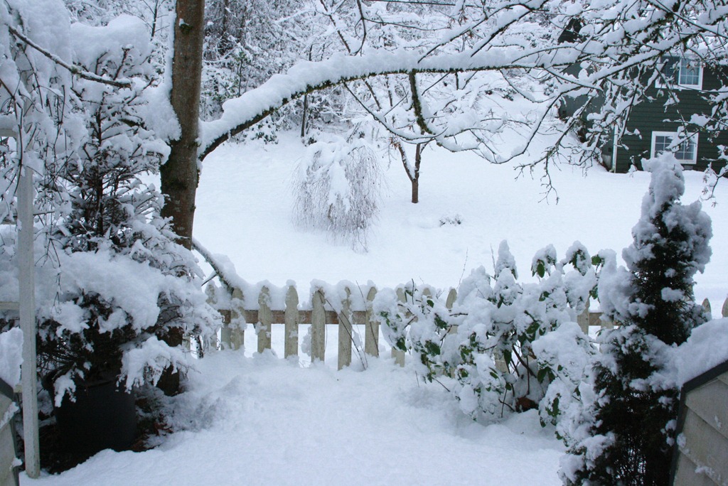 [snowdays5%255B5%255D.jpg]