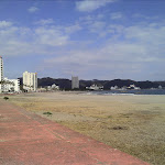 IMG_20120211_121753.jpg