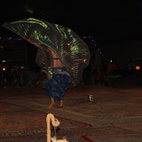 IMG_5348.JPG