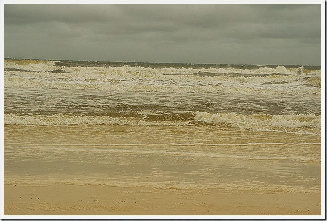 sea-public-domain-pictures-(882) sea-public-domain-pictures-(882)