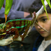 _D3A6193.jpg