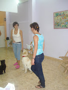 Fotos perros Varios fotos perros