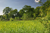 DSC_0133-1.JPG