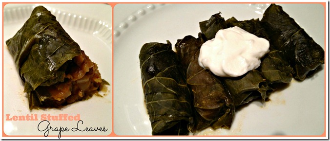 lentil stuffed grap leaves