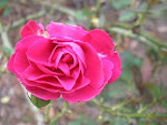 April9.2008 053.JPG