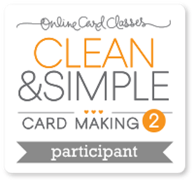 CS2_participant CS2_participant