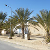 Tunesien-12-2010-323.JPG