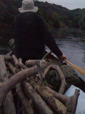 LOTS of firewood...