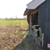 bijenhuis (2).jpg