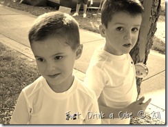IMG_8848 IMG_8848