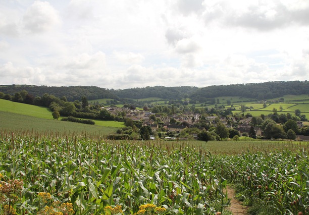 wandeltocht Uley (6) wandeltocht Uley (6)