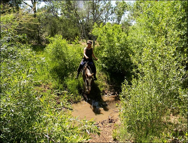 Apache20