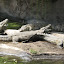 Florida08 107.jpg