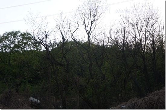 철천지DSC00420-20120502-173610 철천지DSC00420-20120502-173610