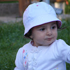 DARIA - Furnica Anca