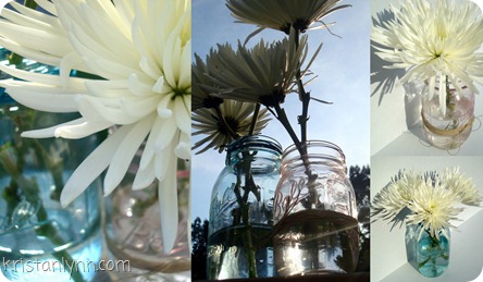 mason jar1