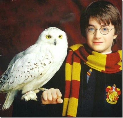 Hedwig