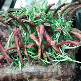 2012-01-21 22.20.20.jpg