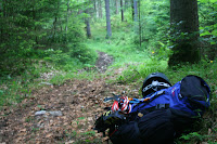 IMG_0007.JPG Photo