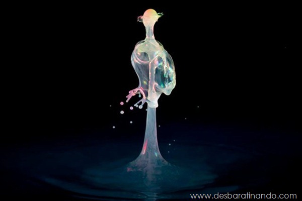 liquid-drop-art-gotas-caindo-foto-velocidade-hora-certa-desbaratinando (166) liquid-drop-art-gotas-caindo-foto-velocidade-hora-certa-desbaratinando (166)