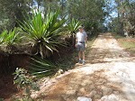 IMG_0826.JPG