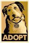 Original signed and numbered (by Shepard Fairey) gold ADOPT prints and gold ADOPT stickers are still available!