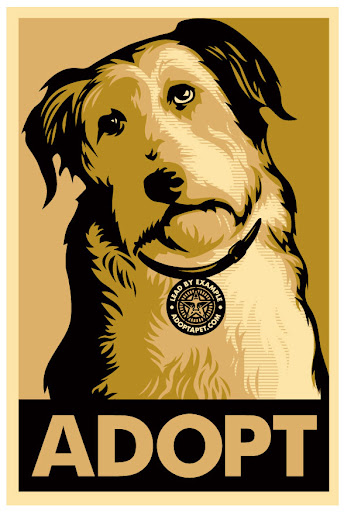 Original signed and numbered (by Shepard Fairey) gold ADOPT prints and gold ADOPT stickers are still available!