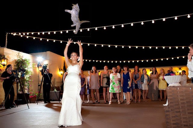 [cat-toss-weddings-7%255B2%255D.jpg]