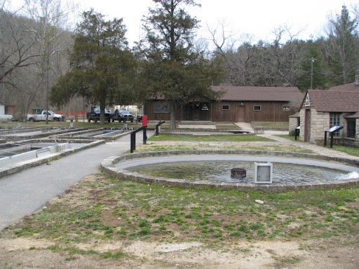 Hatchery at Roaring River
photo credit:  Michele Skalicky