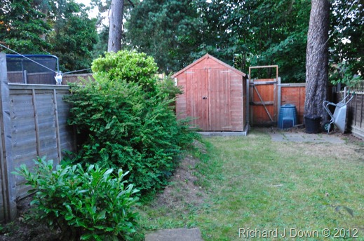DSC_0900_web DSC_0900_web