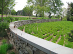 These grasses look newly planted, but in fact, they will eventually form a dense, meadow-like stand by mid-summer.