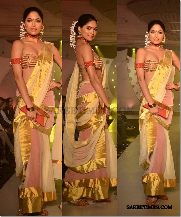 golden_saree_sndt_fashionshow golden_saree_sndt_fashionshow