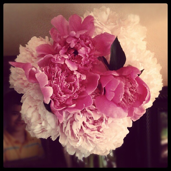 [peonies5.jpg]