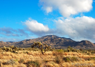 1. Mt. fagan-kab