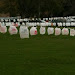 NasyaRaine - NoMorePlasticBags.jpg